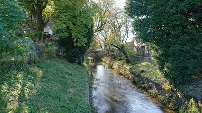🏞️ 타마가와 상수 녹지 닛코바시 공원 (玉川上水緑地日光橋公園)